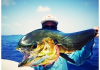 Summer in the Sandbox