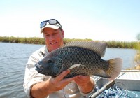 Artificial Lure for Bream